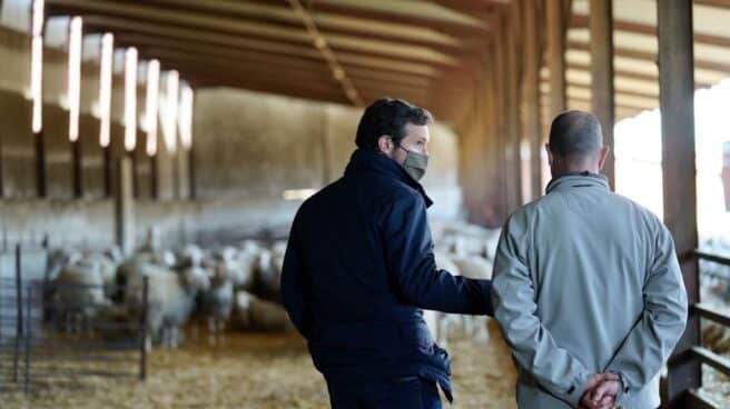 El presidente del PP, Pablo Casado, en una quesería de León.