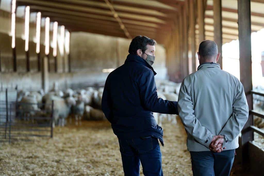 El presidente del PP, Pablo Casado, en una quesería de León.