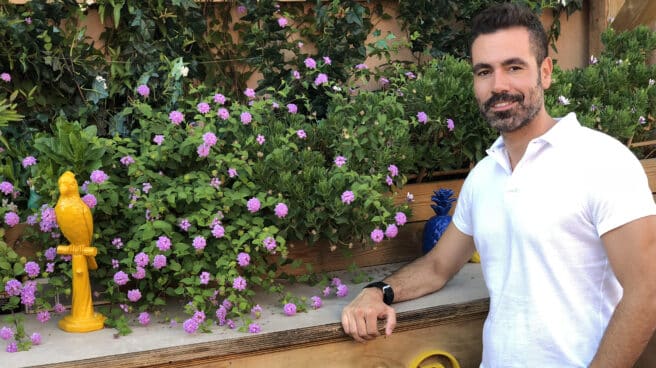 Jordi Albert. Jordi Albert.