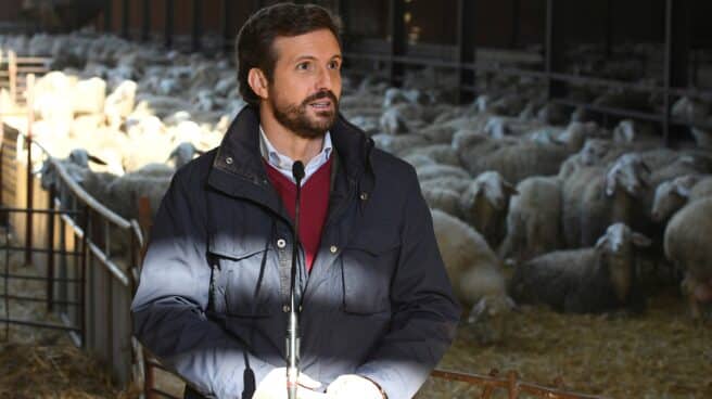 Pablo Casado, en Matadeón de los Oteros (León). Pablo Casado, en Matadeón de los Oteros (León).