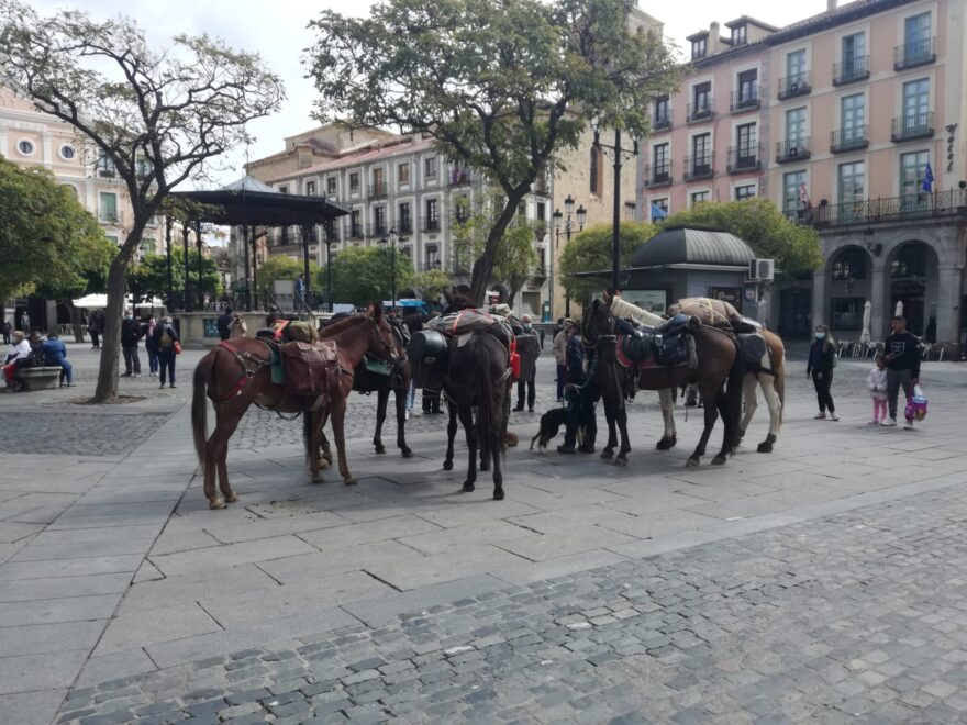 Una ruta turística a caballo hace una parada en la plaza mayor de Segovia