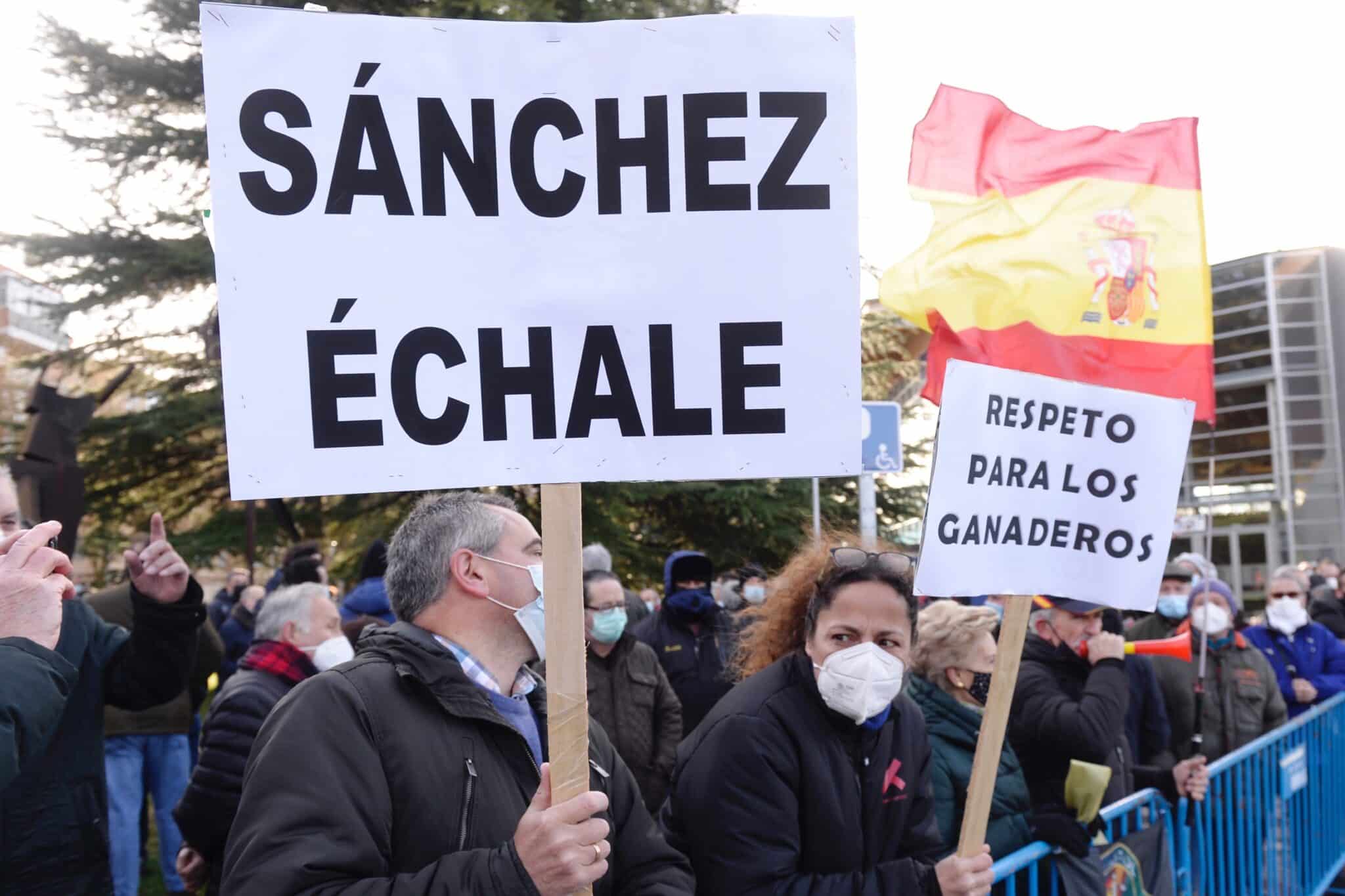 Los ganaderos piden al ministro Planas no "criminalizar" las macrogranjas: "Trabajan bien"