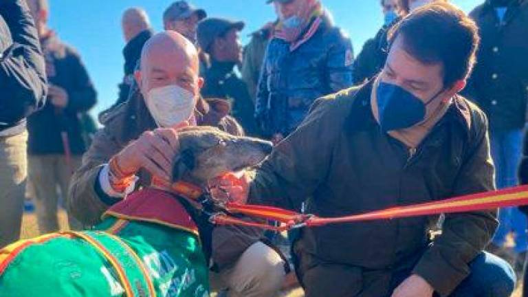 El presidente del Partido Popular de Castilla y León, Alfonso Fernández Mañueco, ha asistido hoy a los cuartos de final del Campeonato de España de Galgos en Campo