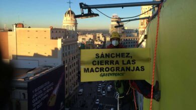 Activistas de Greenpeace se descuelgan de un edificio en la Gran Vía para exigir a Sánchez el cierre de las macrogranjas