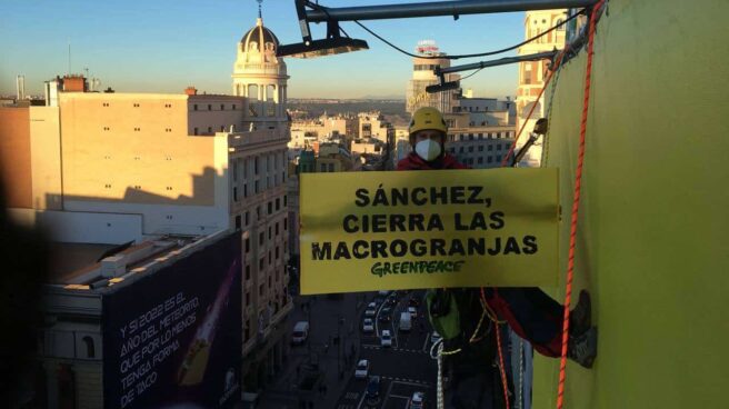 Activista de Greenpeace sostiene una pancarta