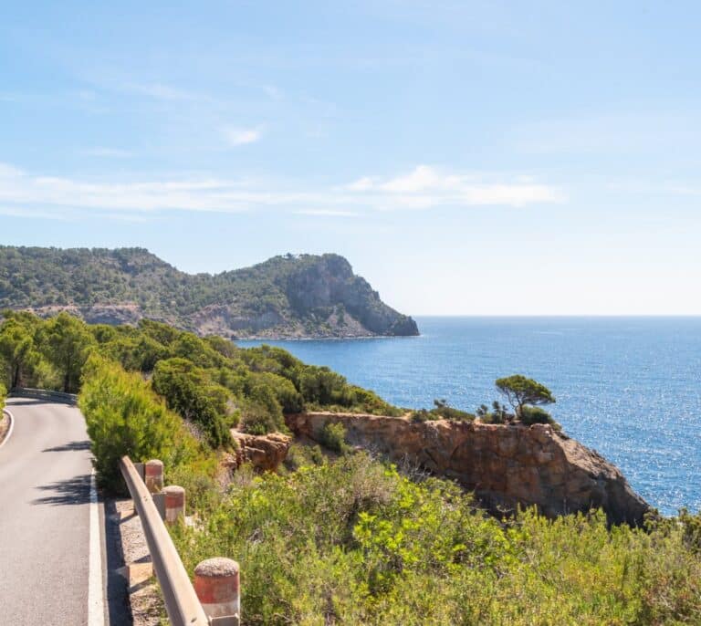 Detenido el conductor que huyó en el accidente mortal de Ibiza