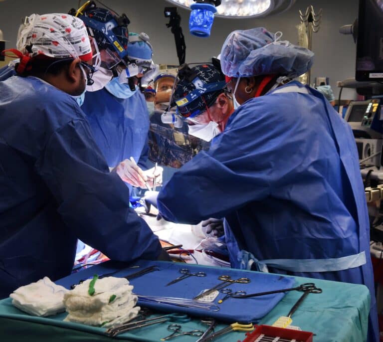 Los xenotrasplantes, una esperanza ante la escasez de donaciones