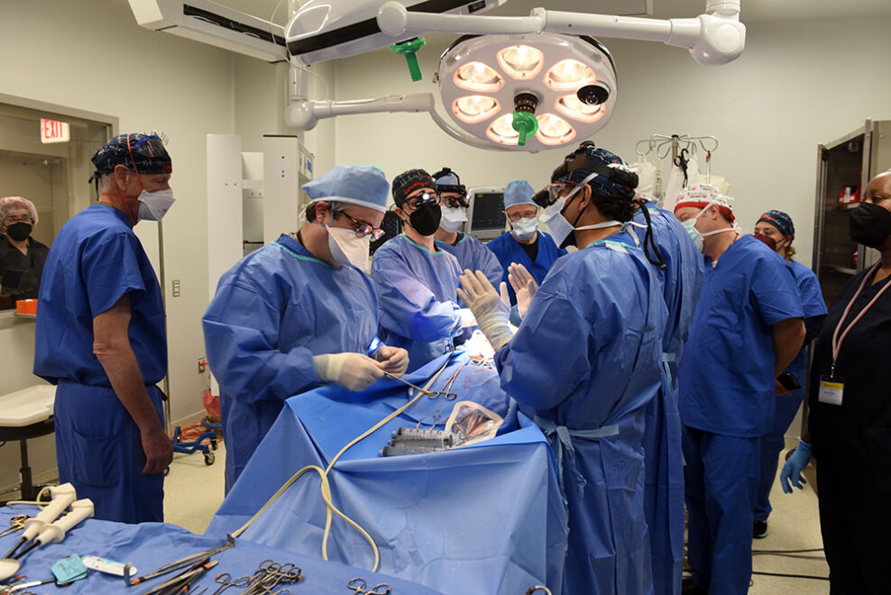 Equipo médico durante la operación en la que se ha trasplantado un corazón de cerdo a humano. 