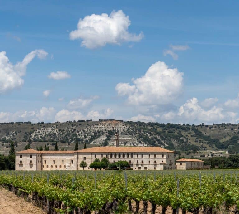 El vino español se conjura para relanzar su consumo dentro y fuera de España