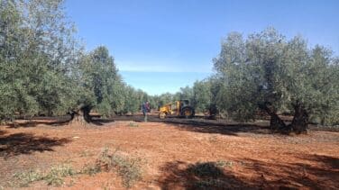 Los agricultores claman contra la nueva PAC: "Obliga a utilizar más combustible"