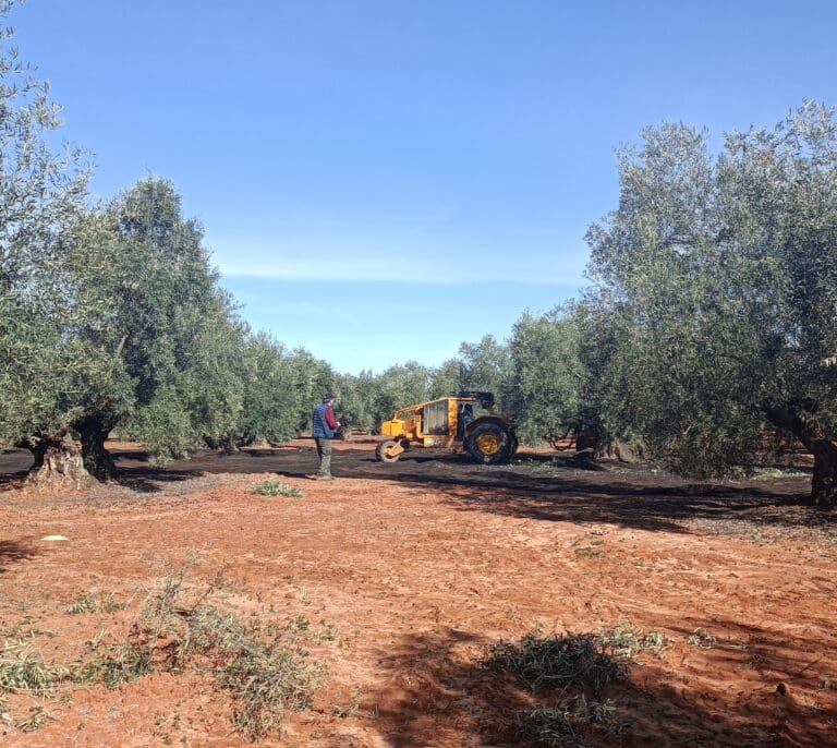 Los agricultores claman contra la nueva PAC: "Obliga a utilizar más combustible"