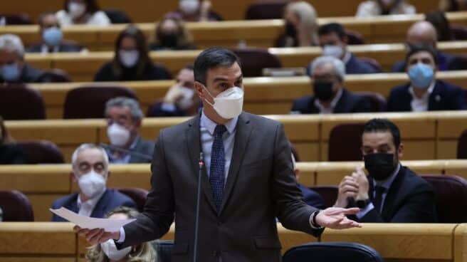 Pedro Sánchez, en el Senado. Pedro Sánchez, en el Senado.