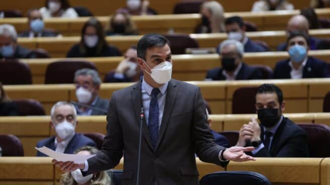 Pedro Sánchez, en el Senado.