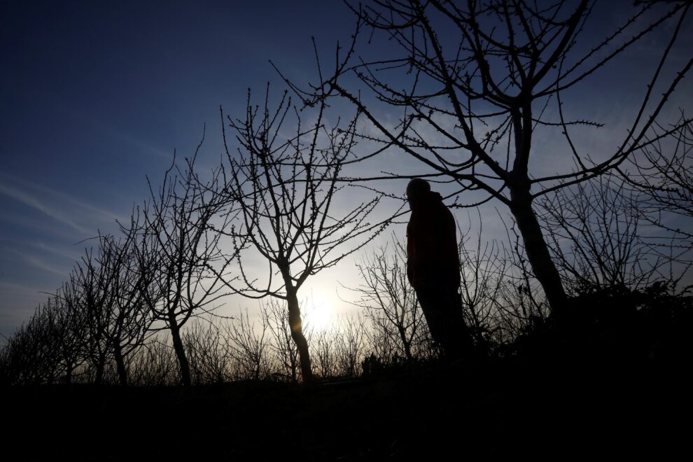 Un agricultor observa los campos de almendros en Guadalcázar (Córdoba) localidad afectada por la situación de sequía.