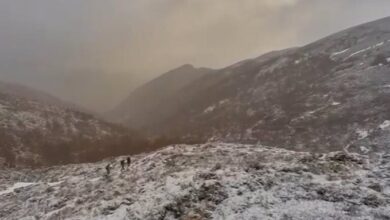 Helicópteros y guías caninos para encontrar al corredor perdido en los Picos de Europa