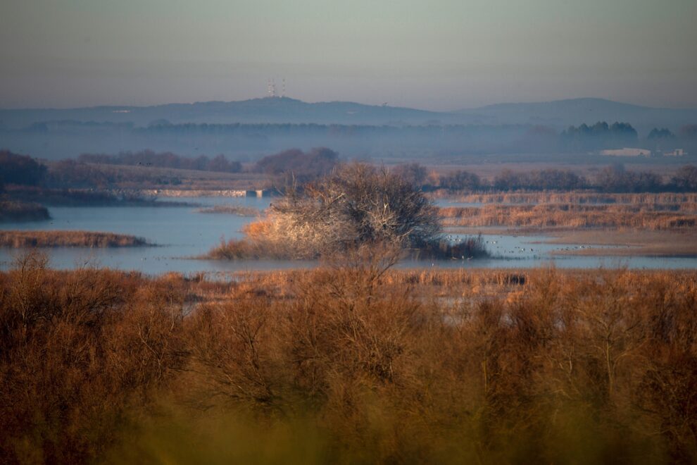 Vista del parque Nacional de las Tablas de Daimiel.