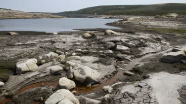 La mitad del campo en España está ya en alerta por sequía