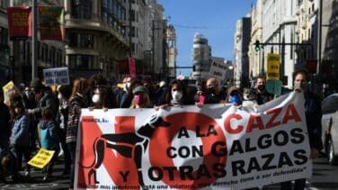 Belarra contra los cazadores: "Los perros son perros independientemente de a qué se dediquen"