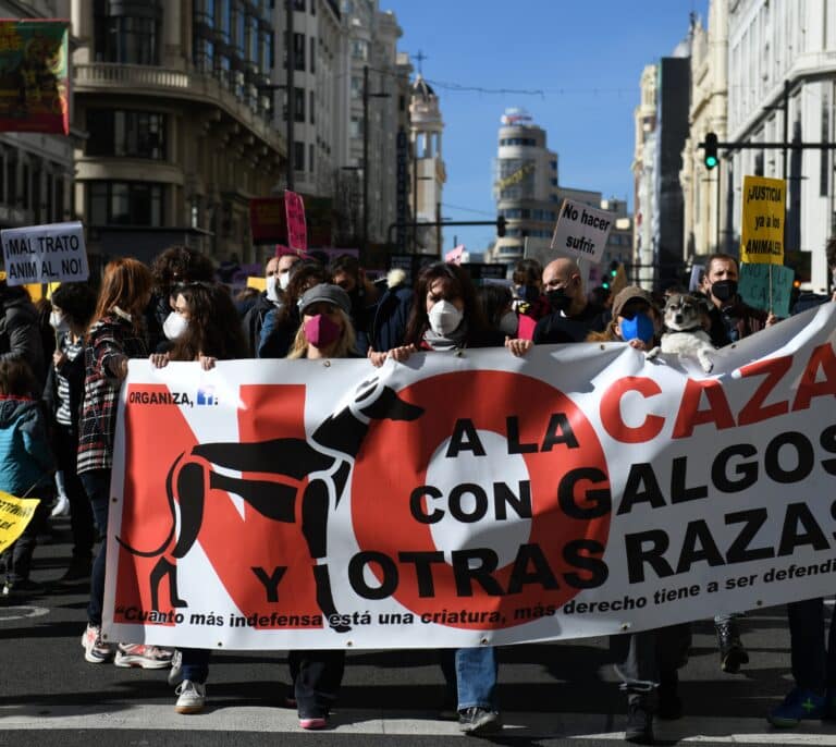 Belarra contra los cazadores: "Los perros son perros independientemente de a qué se dediquen"