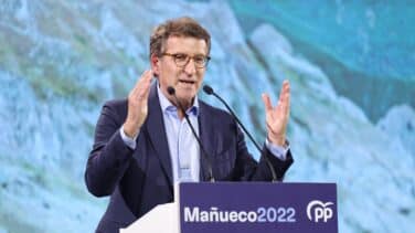 Feijóo, Papá Pitufo