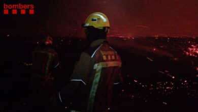 Un incendio quema una zona de bosque en Peralada (Girona)