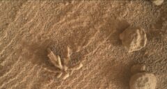 Descubierta una flor de cristales en la superficie de Marte