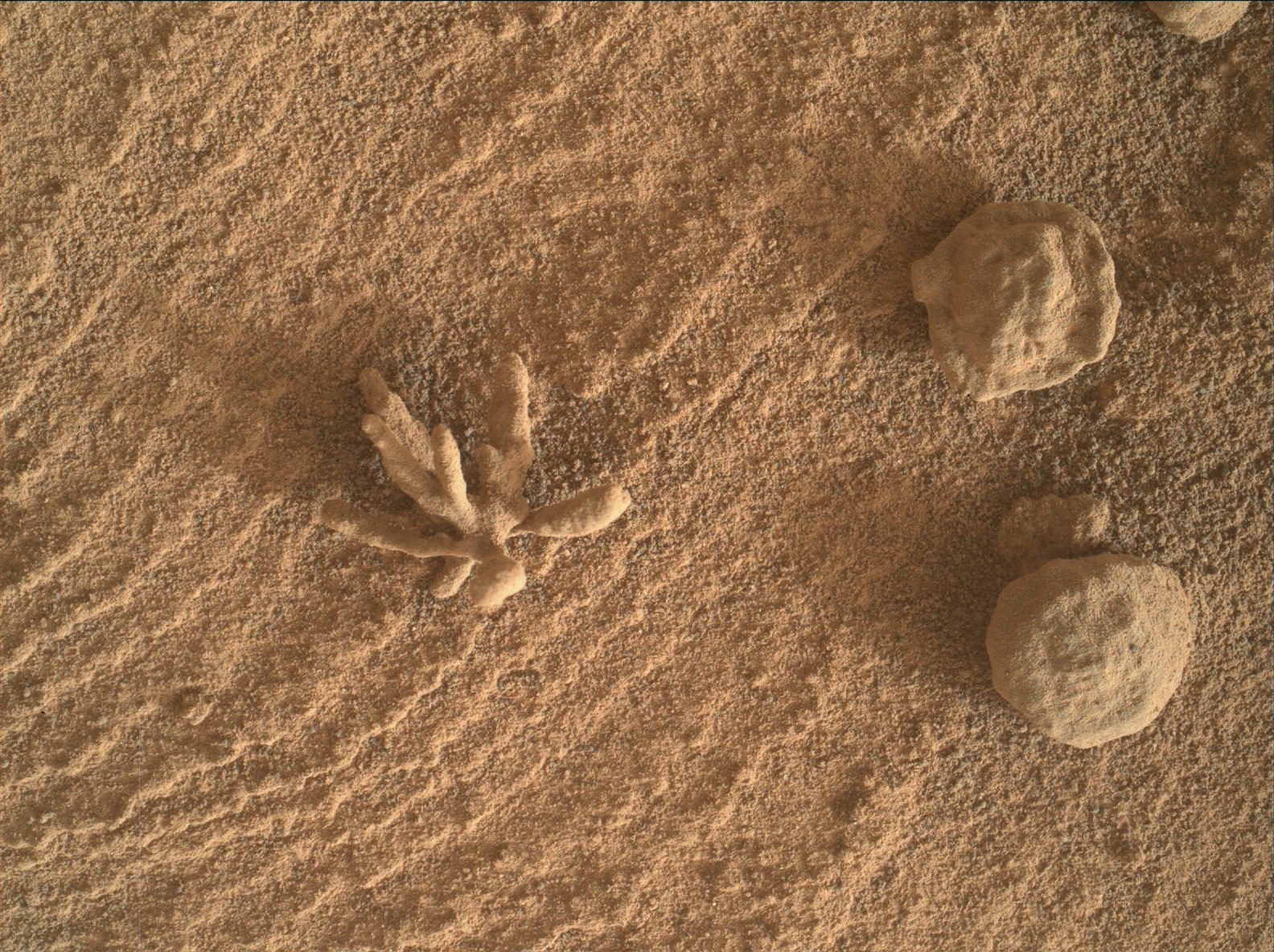 Formación descubierta en Marte.