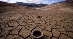 La sequía amenaza con dar la puntilla a miles de agricultores ahogados por la subida de costes