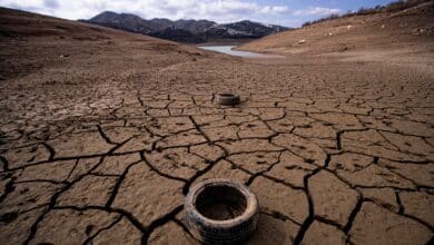 La sequía amenaza con dar la puntilla a miles de agricultores ahogados por la subida de costes