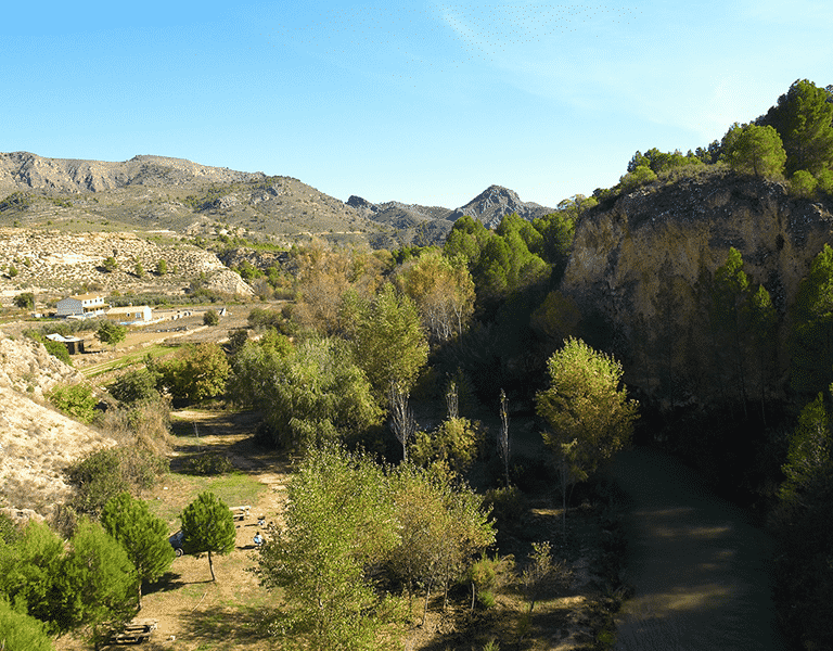Hallan enterrados restos óseos de dos personas muertas de forma violenta en un barranco de Elche (Alicante)