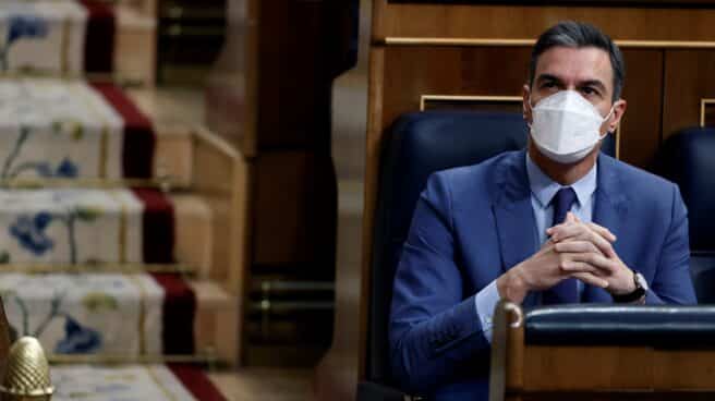 El presidente del Gobierno, Pedro Sánchez durante la sesión de control al gobierno este miércoles en el Congreso de los diputados.