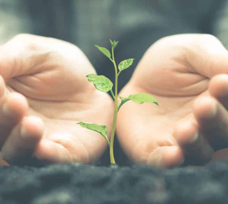 Grupo Alvic obtiene el sello del Registro de huella de carbono y proyectos de absorción de CO2