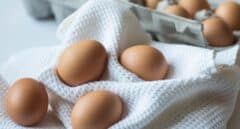 Cómo manipular, guardar, cocinar y comer huevos para evitar la salmonelosis