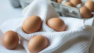 Cómo manipular, guardar, cocinar y comer huevos para evitar la salmonelosis