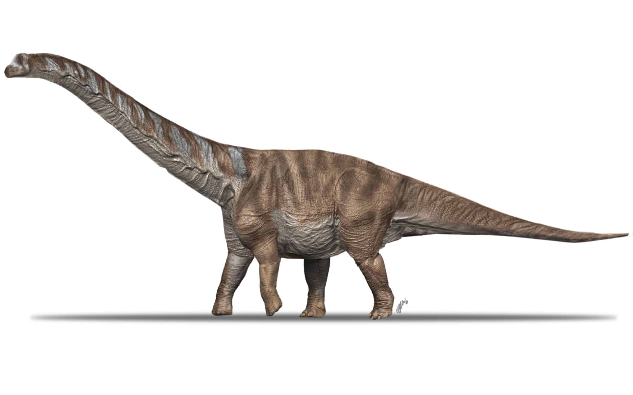 El dinosaurio de los Pirineos que se perdió en el tiempo y en un almacén