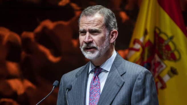 El Rey Felipe VI. El Rey Felipe VI.