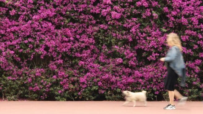 Por qué hacer ejercicio cuesta más cuanto menos se hace una mujer camina con su perro
