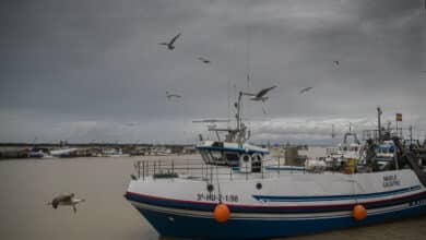 La crisis del gasóleo: decenas de pesqueros andaluces no salen a faenar