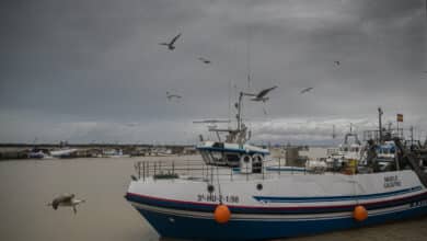 Los pescadores canarios consideran “ilusionante” la propuesta del Polisario de conceder licencias para faenar en el Sáhara