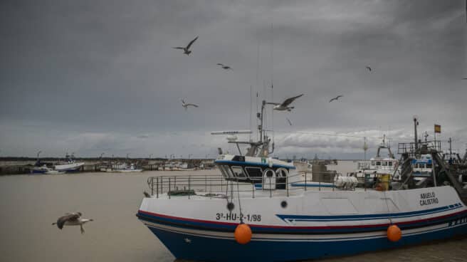 Lonja pesquera de la Cofradía de Pescadores de Sanlúcar de Barrameda.