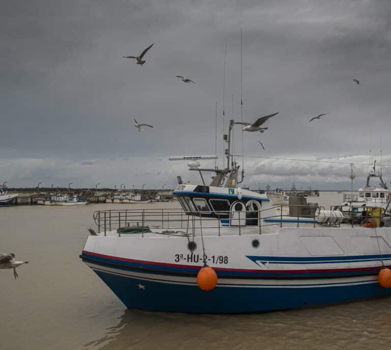 Los pescadores canarios consideran “ilusionante” la propuesta del Polisario de conceder licencias para faenar en el Sáhara