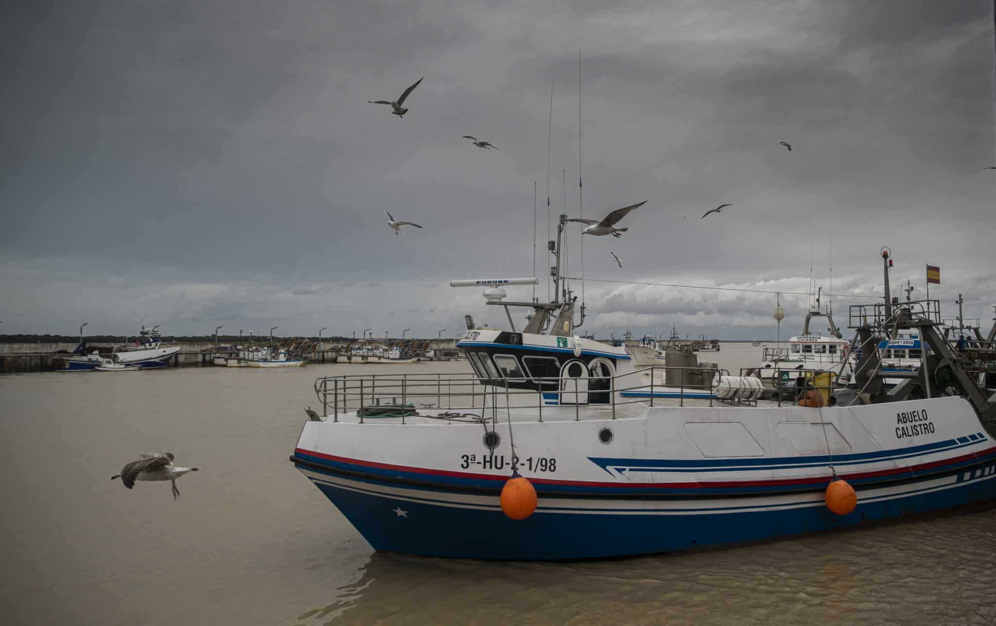 Lonja pesquera de la Cofradía de Pescadores de Sanlúcar de Barrameda.