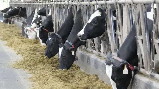 La industria láctea paraliza su actividad a partir de mañana por la huelga de transportes