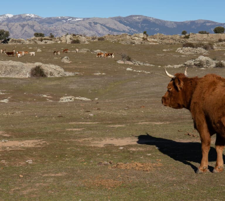 La patronal agraria COAG advierte: "Si queremos ahora mantener los niveles de producción, falta más financiación"