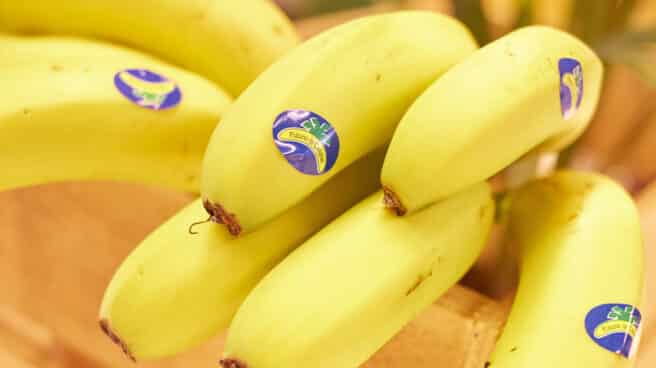 platano-canarias