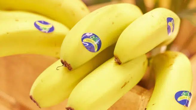 El sector del plátano de Canarias valora paralizar parte de su actividad a partir de la próxima semana