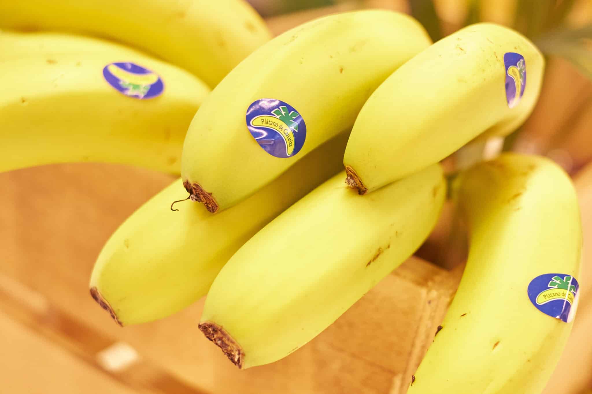 El sector del plátano de Canarias valora paralizar parte de su actividad a partir de la próxima semana
