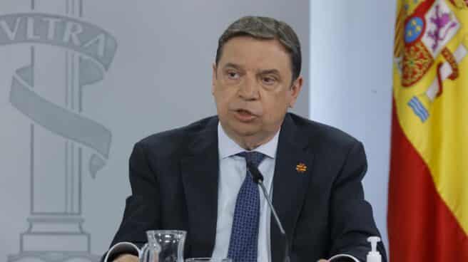 Medidas contra la sequía El ministro de Agricultura, Pesca y Alimentación, Luis Planas, en la rueda de prensa posterior al Consejo de Ministros.