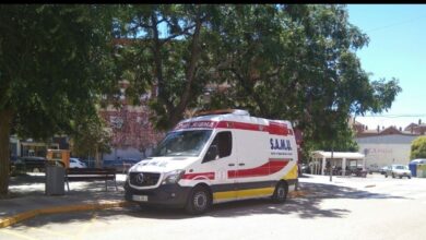 Fallece un hombre tras caerle encima un pino cuando podaba en una finca de Villena (Alicante)