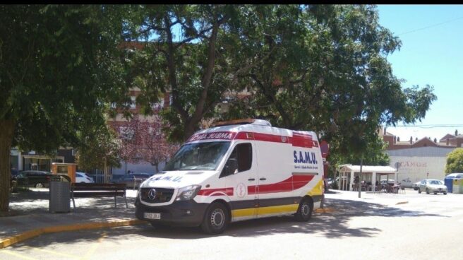 Fallece un hombre tras caerle encima un pino cuando podaba en una finca de Villena (Alicante) Fallece un hombre tras caerle encima un pino cuando podaba en una finca de Villena (Alicante)